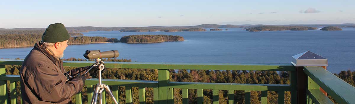 Tuomasvuori-lintubongaus