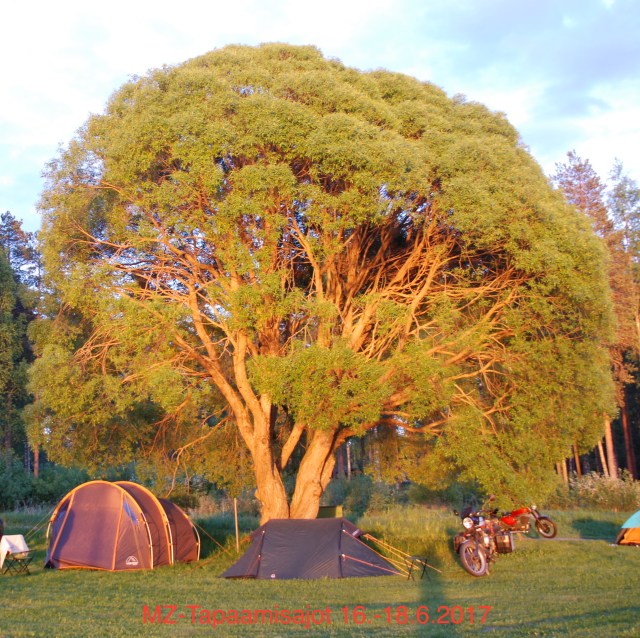 MZ_Finland_Underthetree