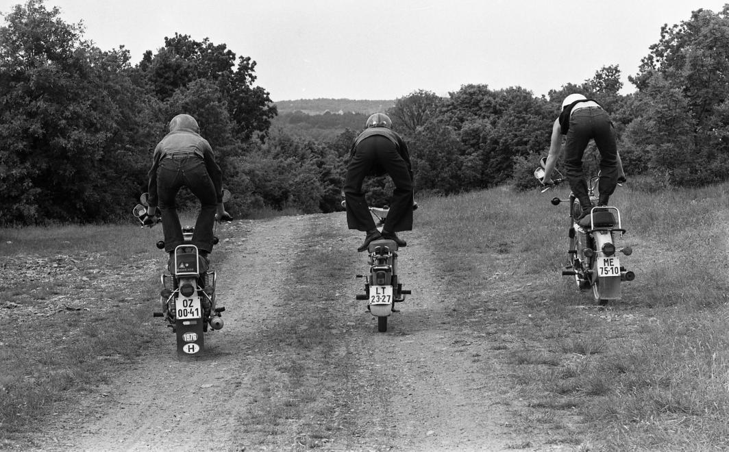 12374865_1127778287246434_6993914947253209437_o